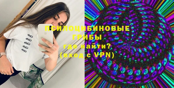 дурь Алексеевка