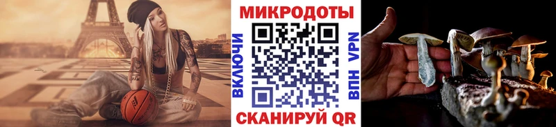 Псилоцибиновые грибы мицелий  Йошкар-Ола 