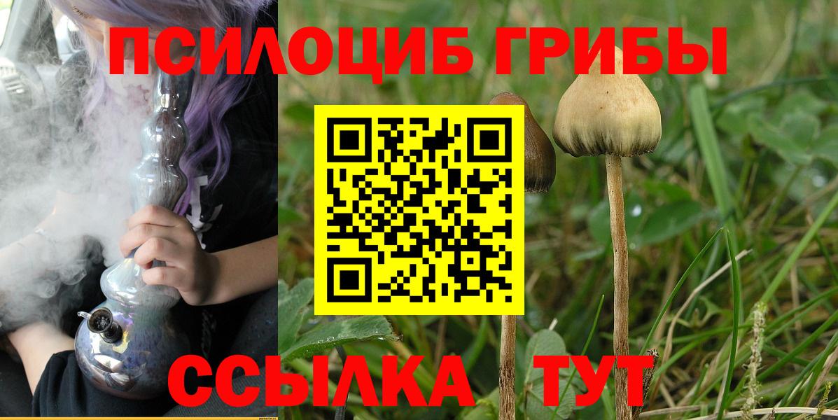 Йошкар-Ола  Галлюциногенные грибы Psilocybine cubensis  Псилоцибиновые грибы ЛСД  Вход с VPN 