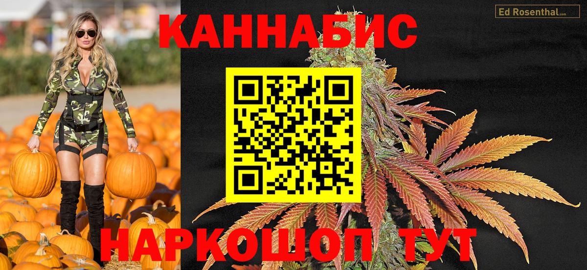 Шишки марихуана конопля  Каннабис ГИДРОПОН  Конопля OG Kush  Вход с VPN  Йошкар-Ола  Шишки марихуана тримм 